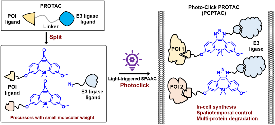wps5.png